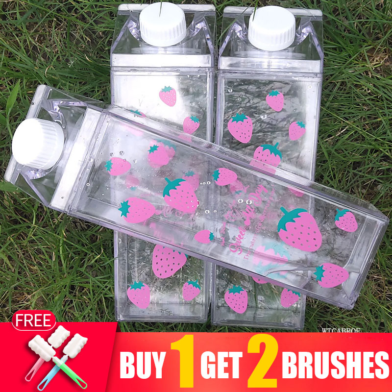 500ML 물병 Drinkware 친환경 셰이커 조롱박 - Sports Equipment Kitchener 리뷰 및 가격