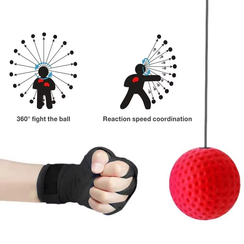 복싱 스피드 볼 헤드 마운트형 PU 펀치 산다 트레이닝 - Sports Equipment Companies 리뷰 및 가격